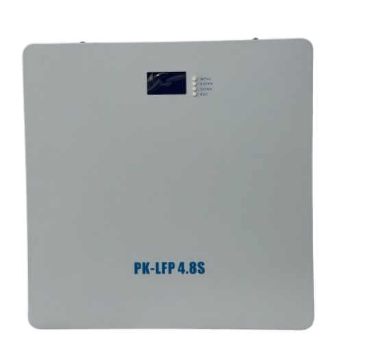 PIN LƯU TRỮ PK-LFP 4.8S